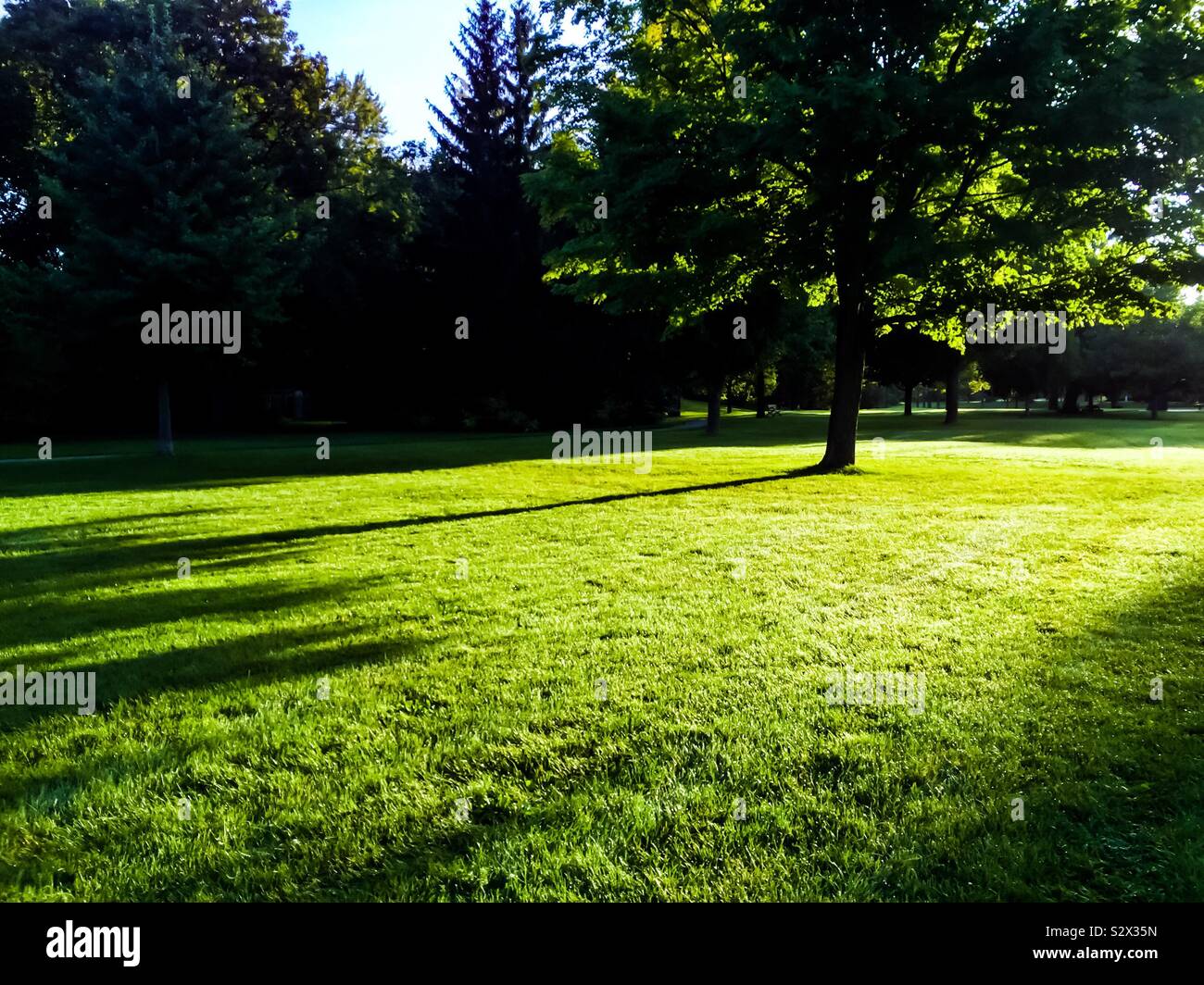 Early morning in a big park, Ontario, Canada. An inviting, green space before people arrive. Concepts: open air, freshness, green, public space. - Smartphone Captured Stock Image