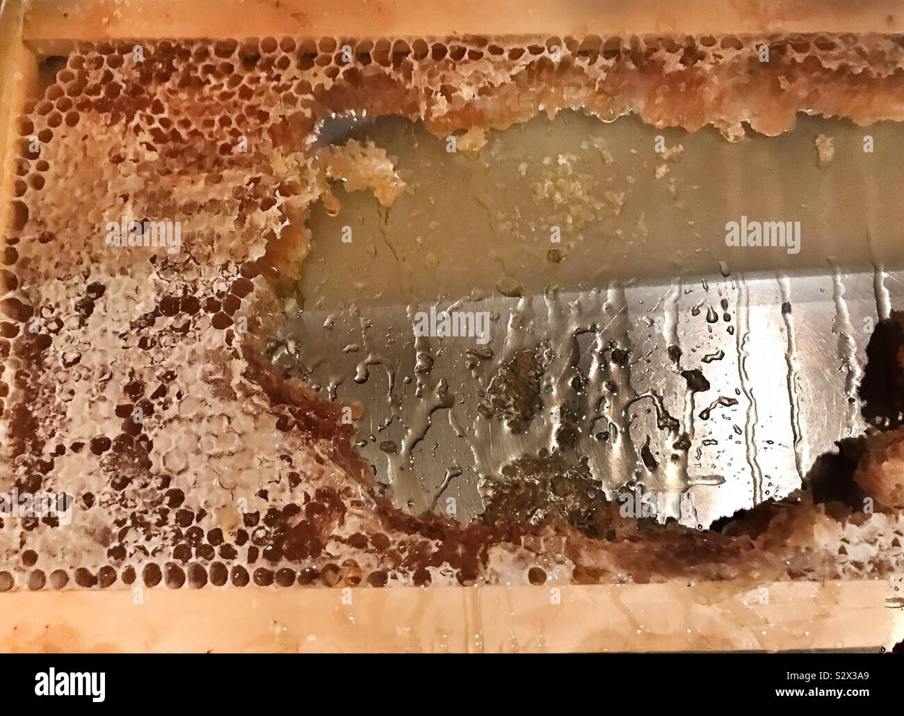 Honeycomb, honey and wax - Smartphone Captured Stock Image