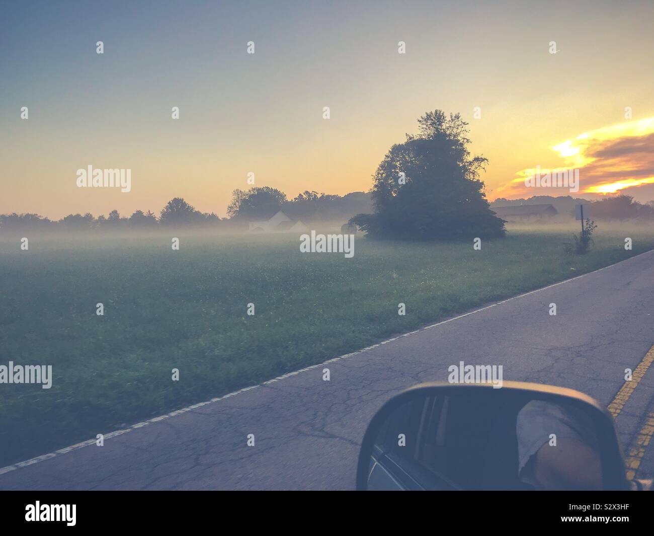 Photo taken from car of summer sunrise over misty field - Smartphone Captured Stock Image