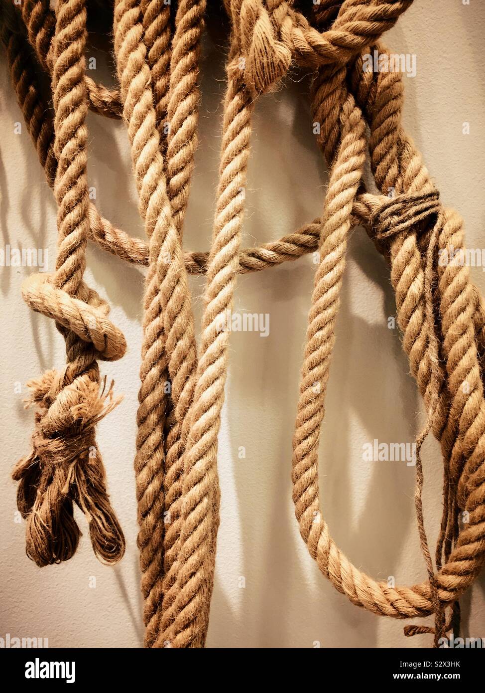 Close up of  loose uncoiled ropes with various knots - Smartphone Captured Stock Image