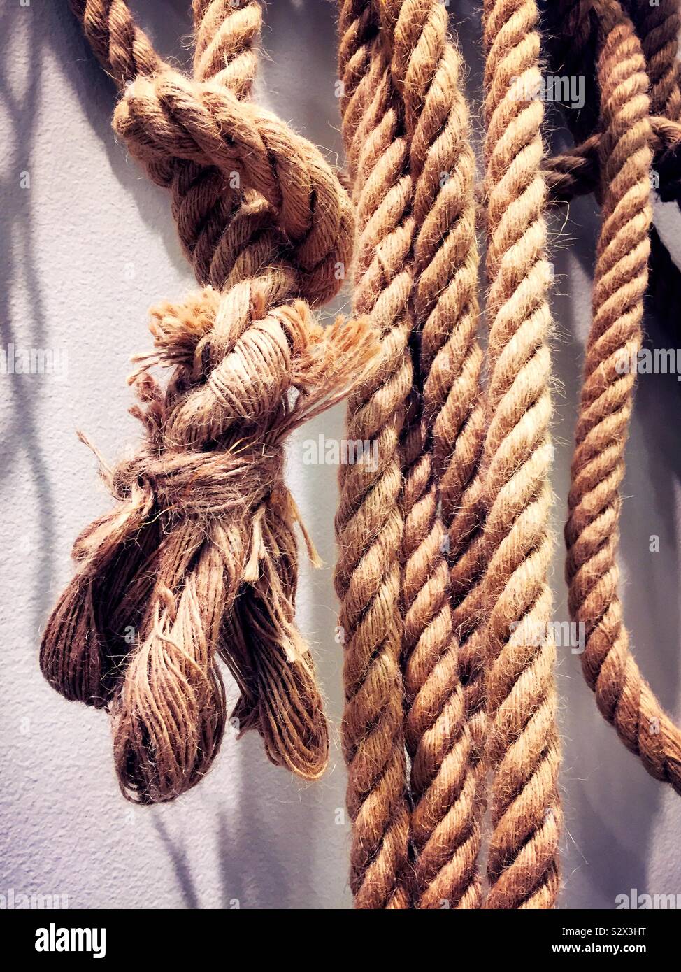 Close up of strands of uncoiled  ropes with various knots - Smartphone Captured Stock Image