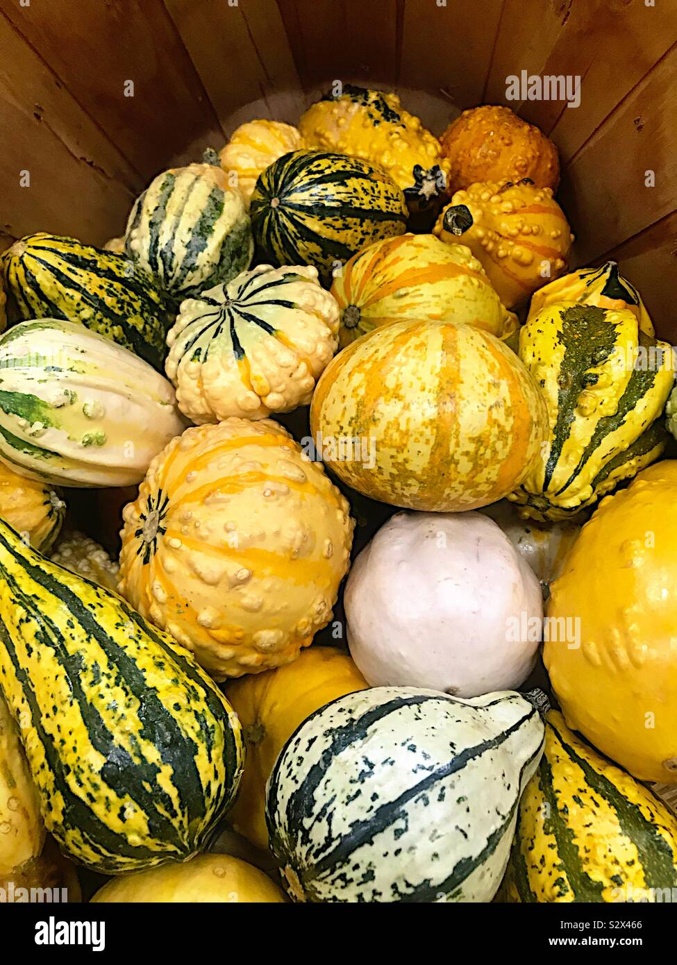 Fall gourds in a wooden basket Stock Photo