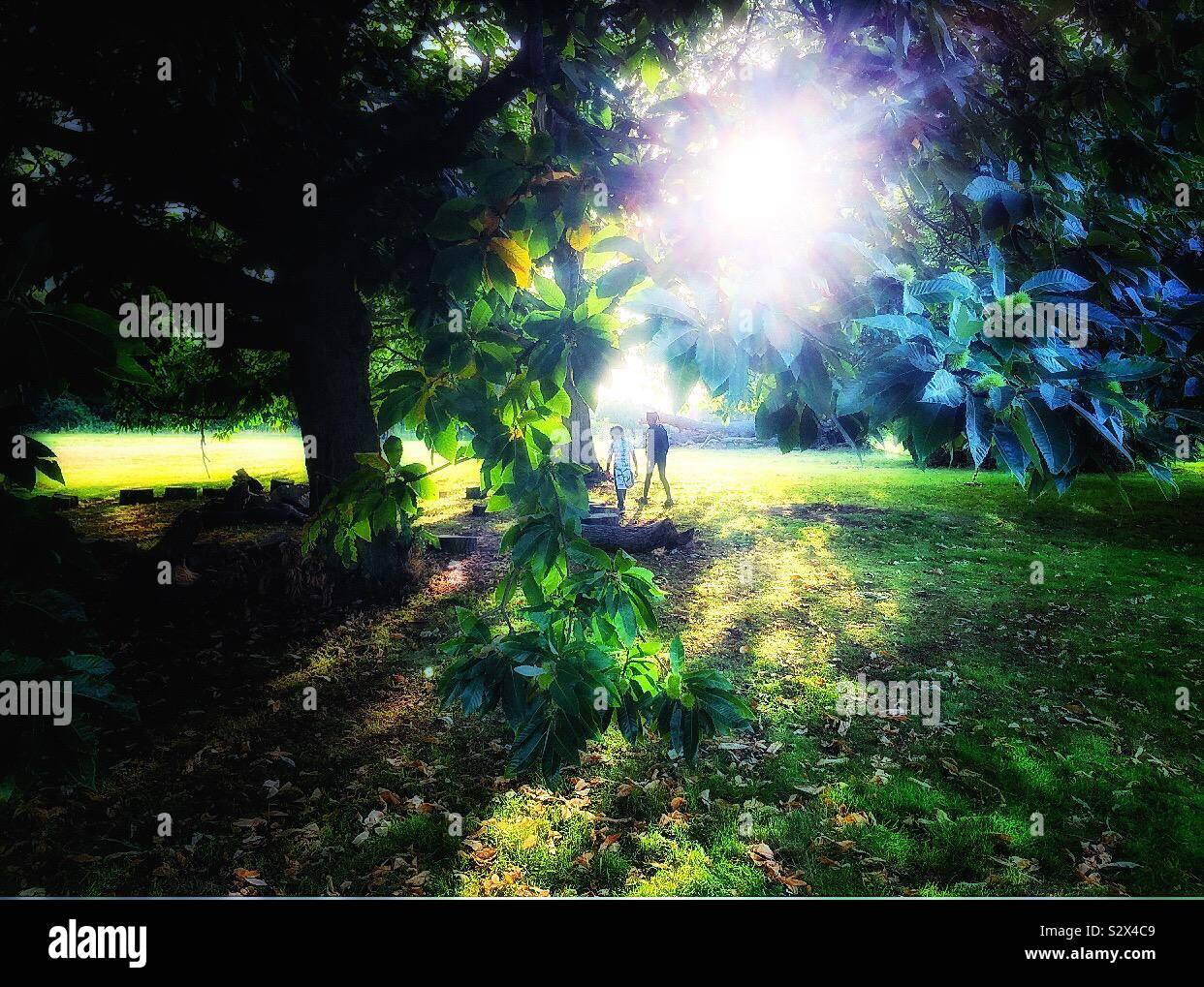 Children walking in the countryside. - Smartphone Captured Stock Image