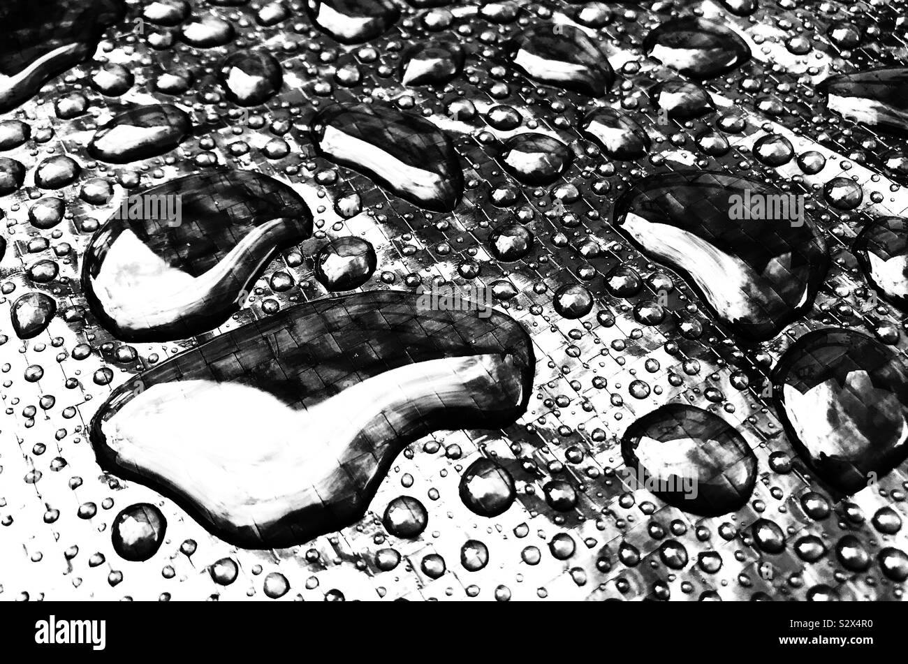 Globules of rain standing on a waterproof surface Stock Photo