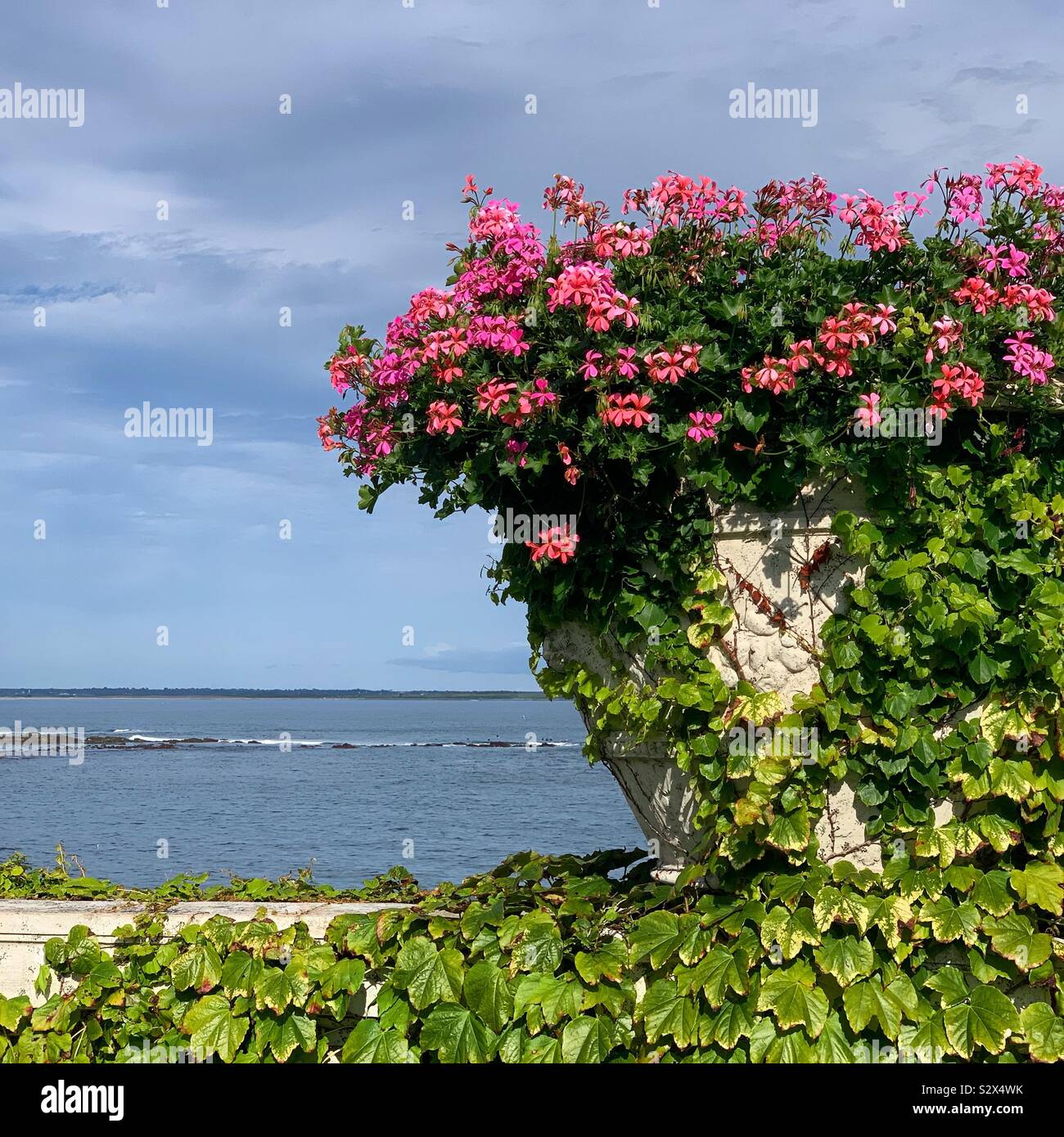 Flowers overlooking the ocean, Rosecliff, Newport, Rhode Island, United