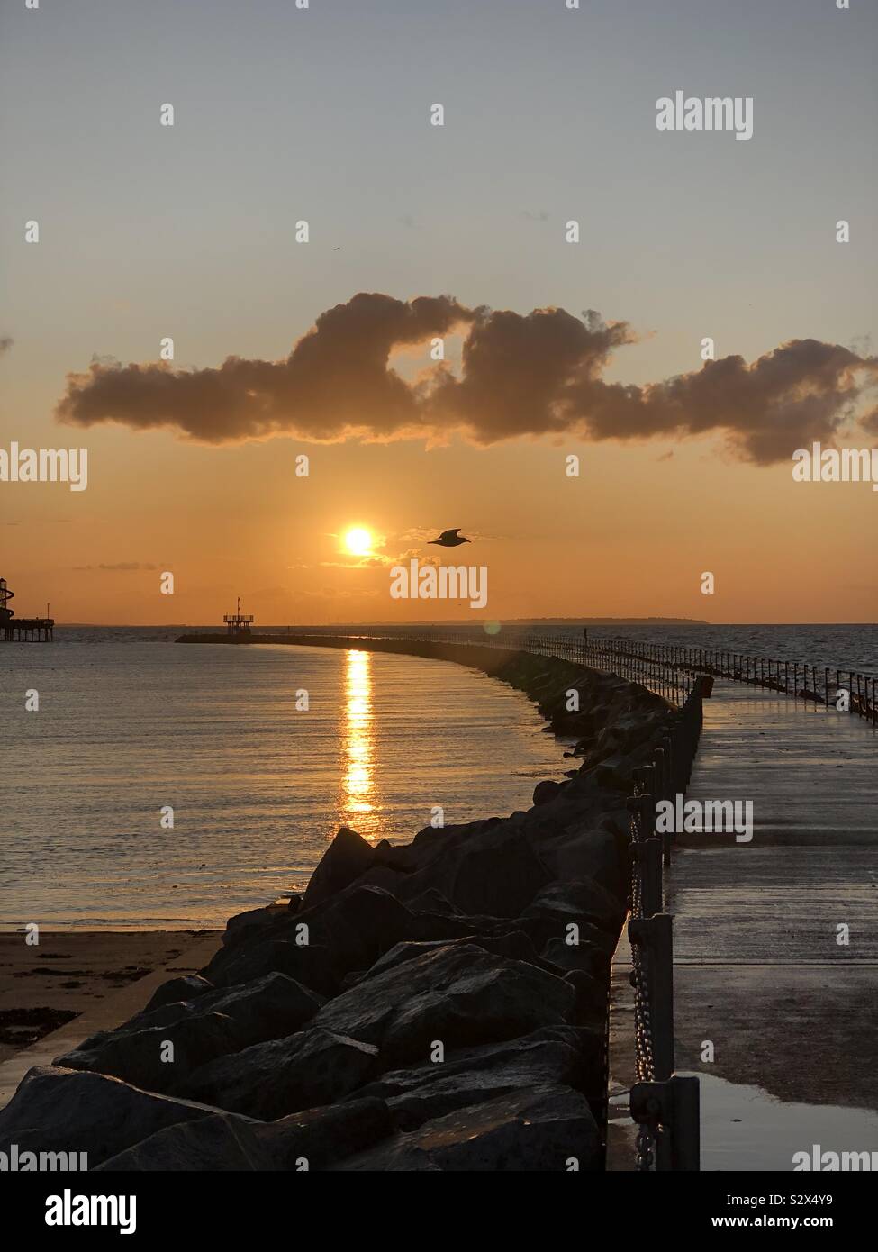 A vivid orange sunset reflected over the sea and harbour and breakwater at Herne Bay, Kent, with a seagull silhouetted against the setting sun in the centre of frame. Stock Photo