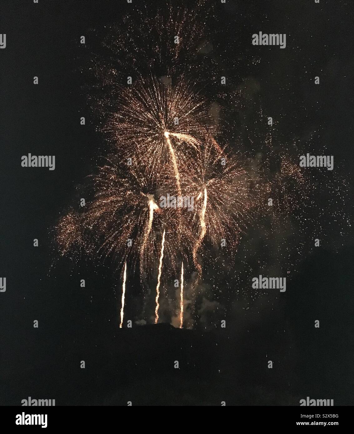 Gold firework in night sky Stock Photo Alamy