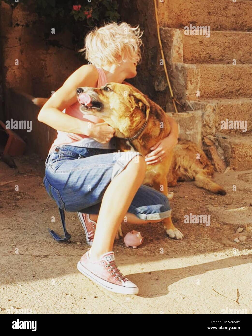 Woman playing with dog - Smartphone Captured Stock Image