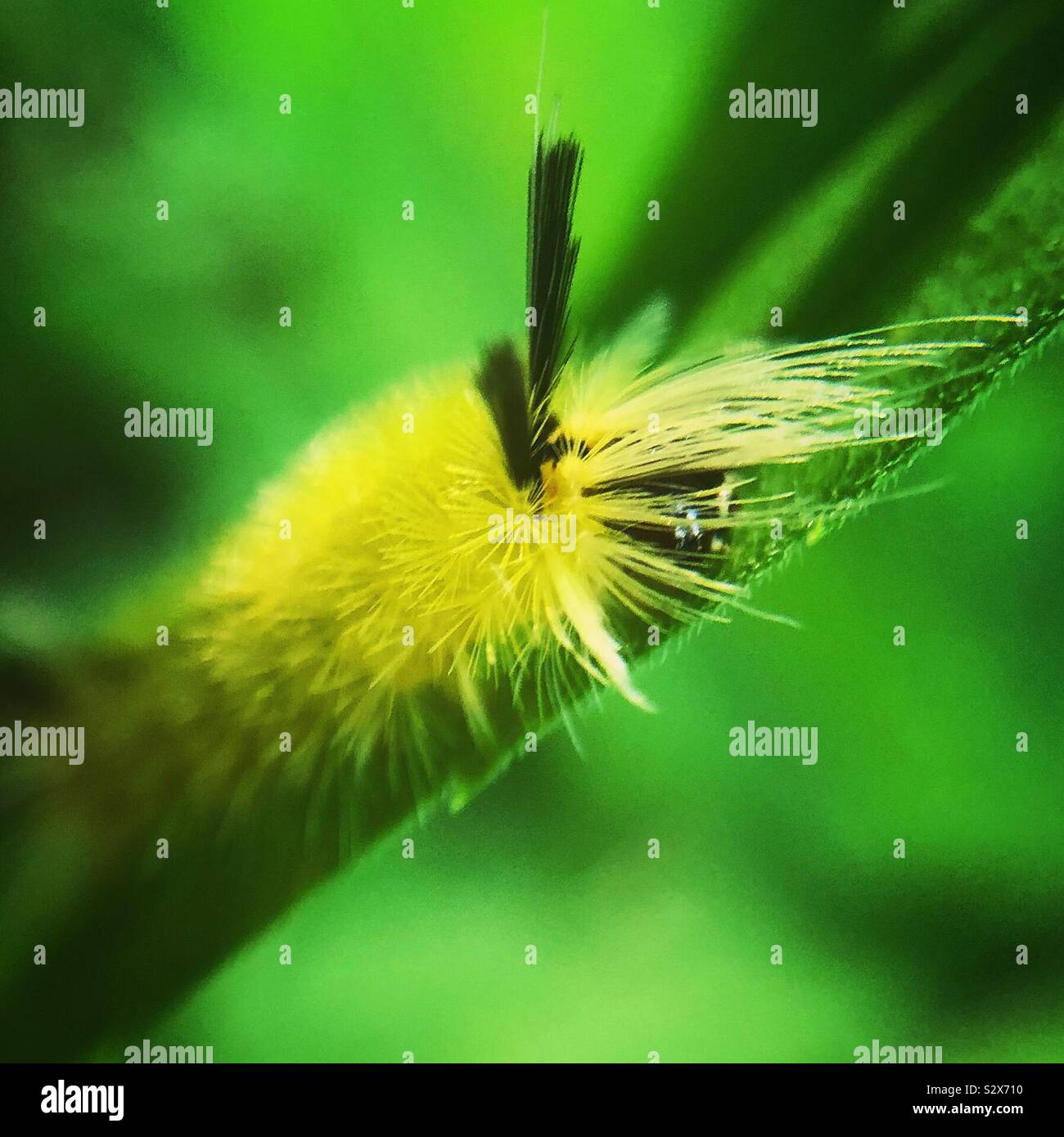 My Image 25