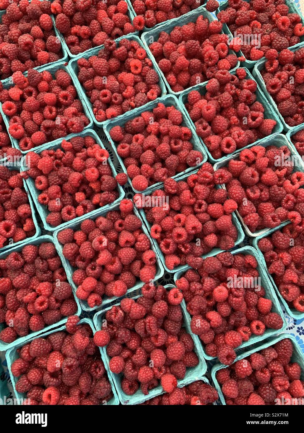 Fresh raspberries in paper carton at farms market - Smartphone Captured Stock Image