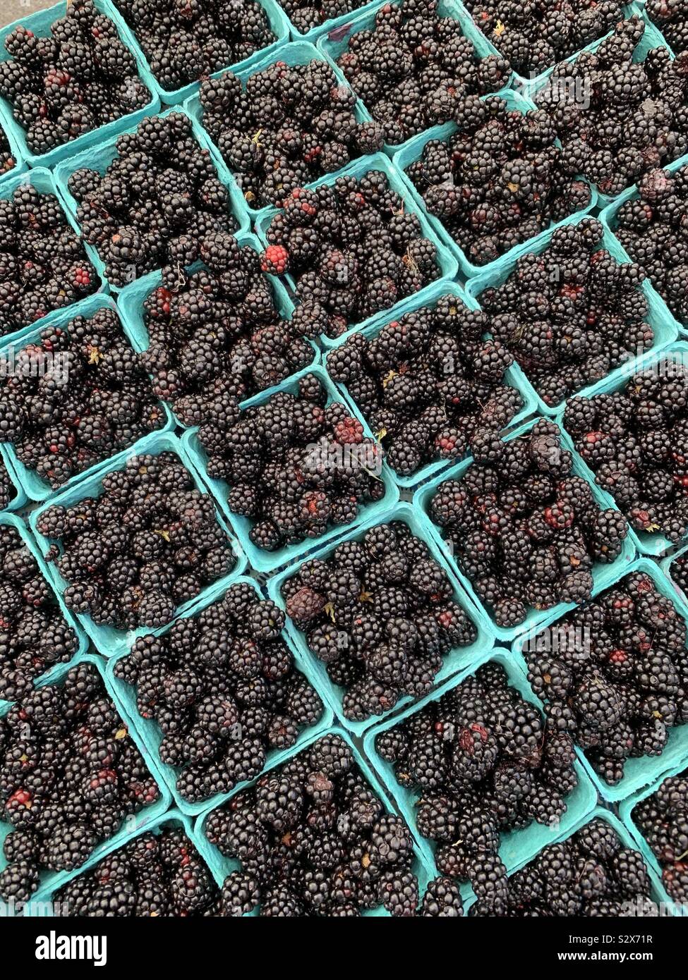 Blackberries in paper carton at farmers market - Smartphone Captured Stock Image