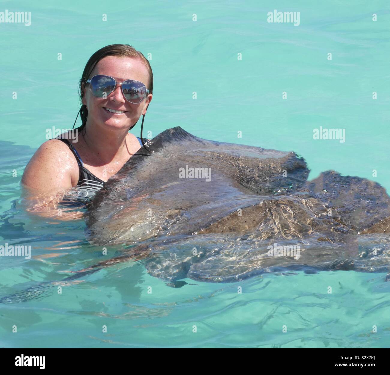 A lady in the Caribbean ocean with a stingray ray fish. Clear water & standing on a seabed during an organised trip to stingray city In Antigua Stock Photo
