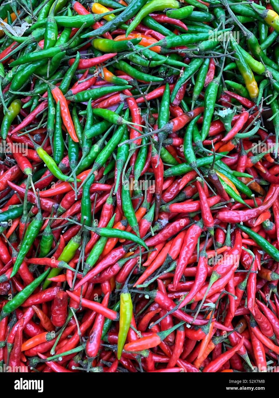 Birds eye chili hi-res stock photography and images - Alamy