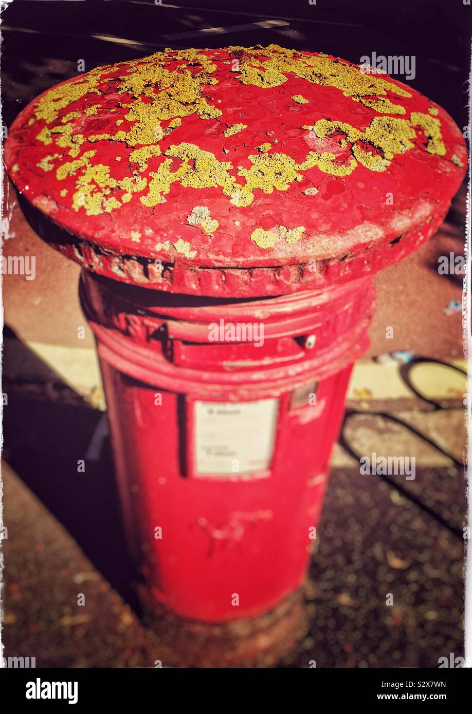 Royal Mail red pillar box with yellow fungus growing on its top - Smartphone Captured Stock Image