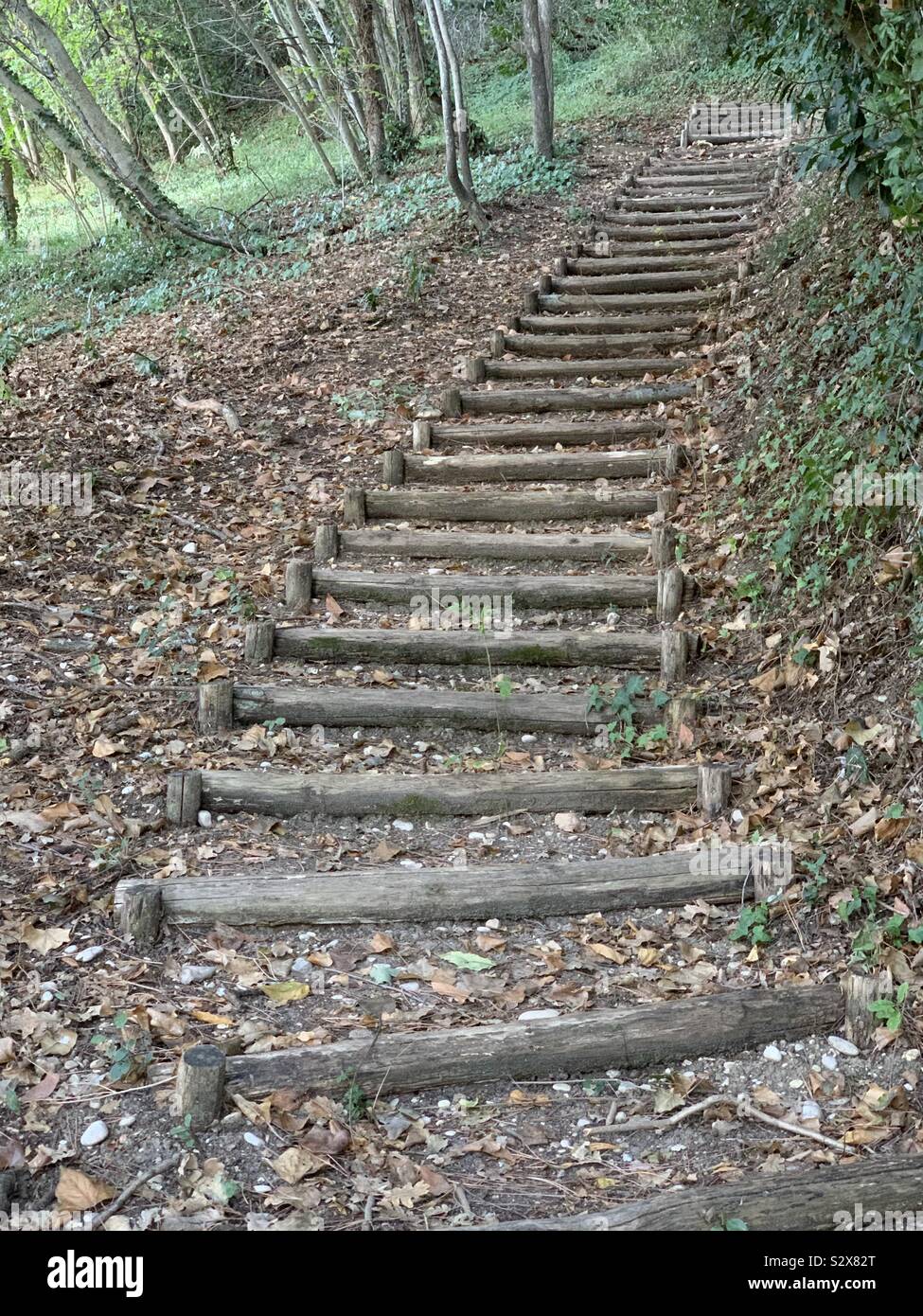 Nature stairs path on a hill, autumn season Stock Photo