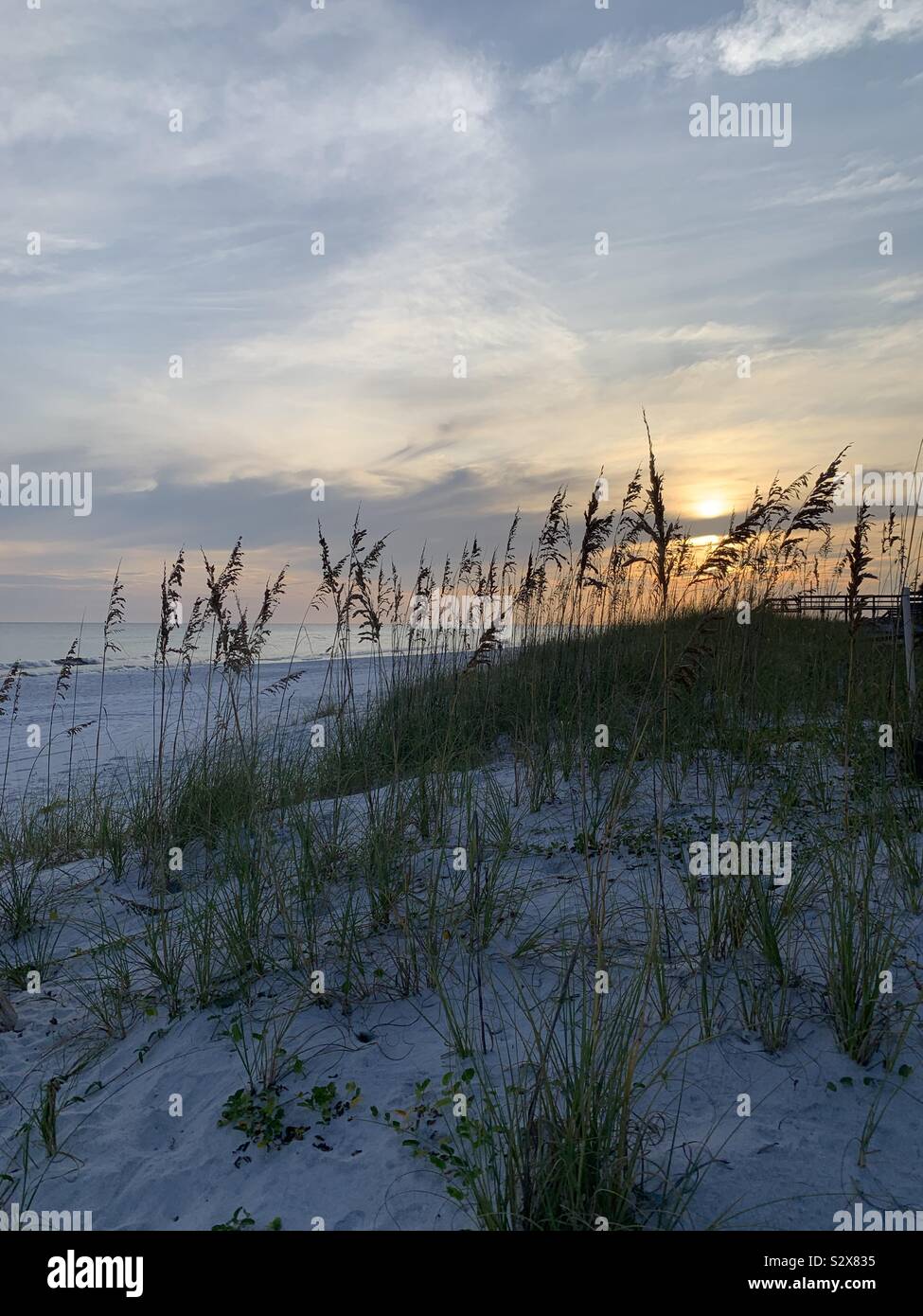 Sunset on the beach with dunes and landscape Stock Photo - Alamy