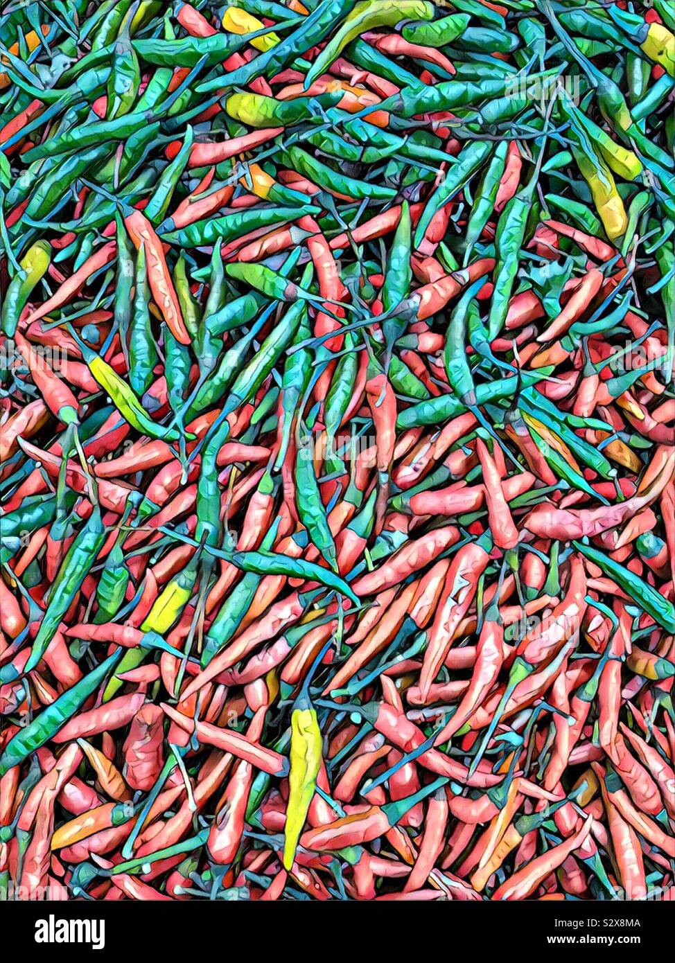 Beautiful red and green hot Thai peppers. Stock Photo