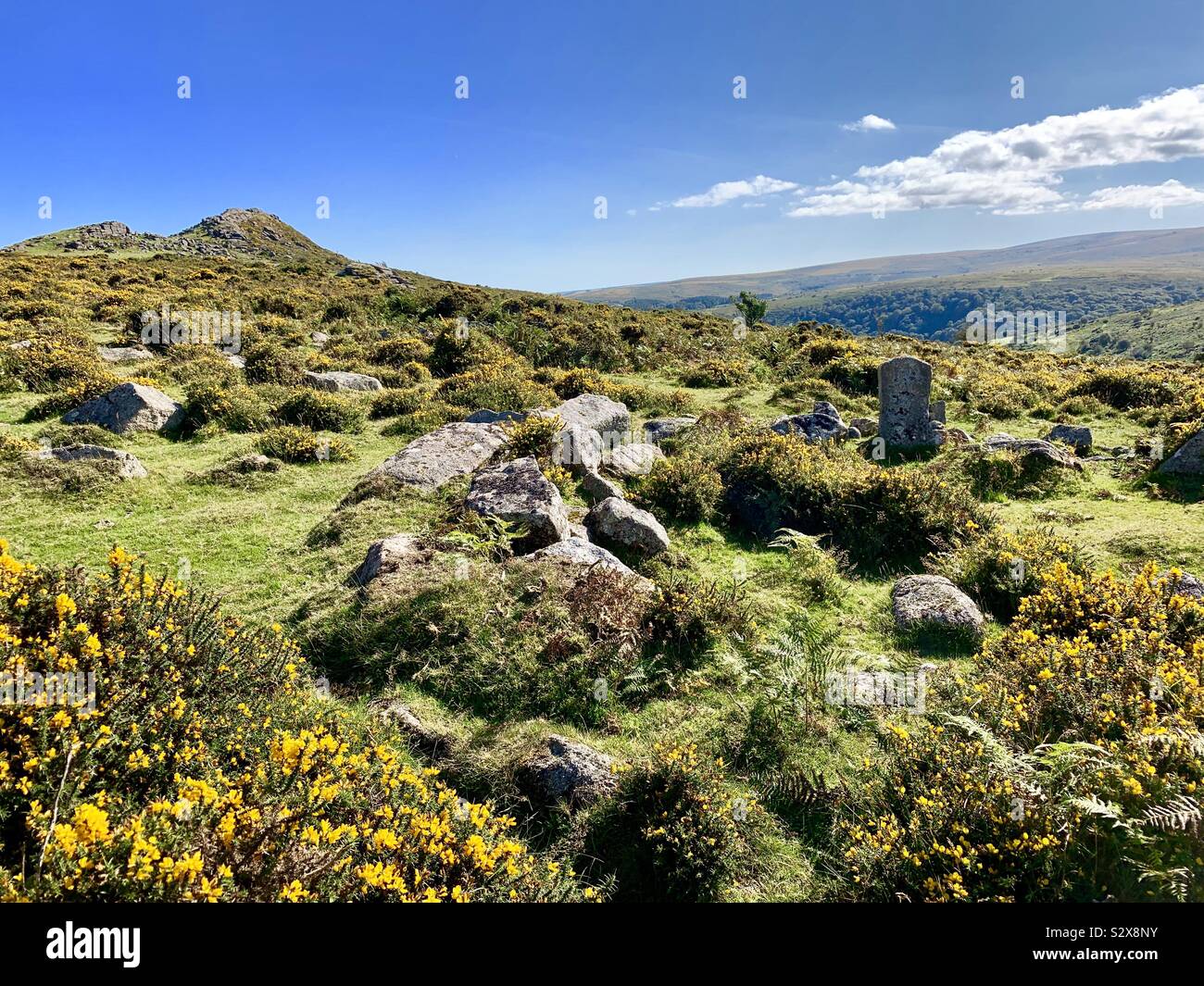 Dartmoor National Park - Smartphone Captured Stock Image