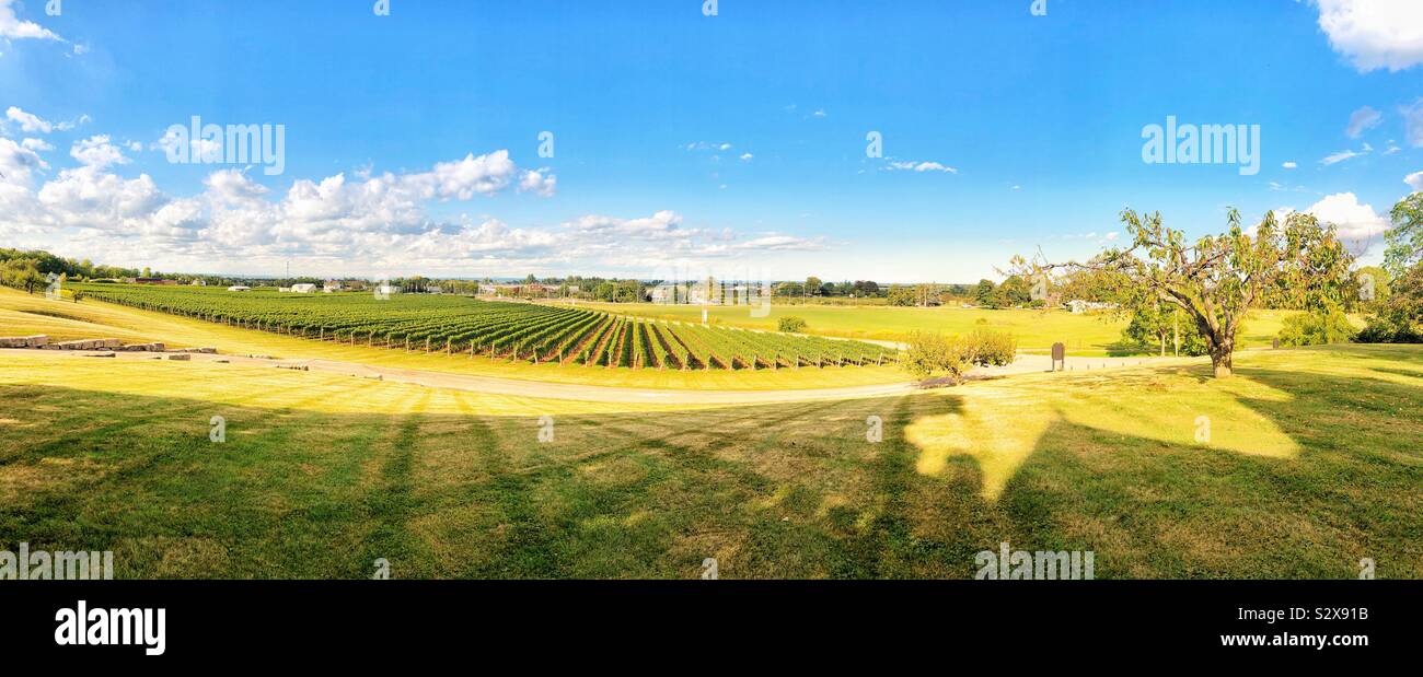 Panoramic view of Ontario’s countryside. - Smartphone Captured Stock Image