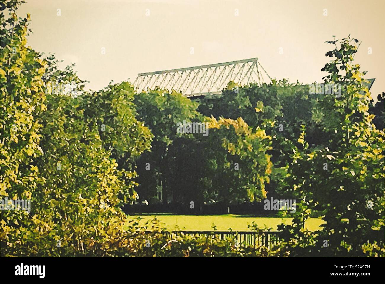 The top of Ashton Gate Stadium in Bristol, UK, seen above trees from a distance.The stadium is home to Bristol City Football Club, Stock Photo