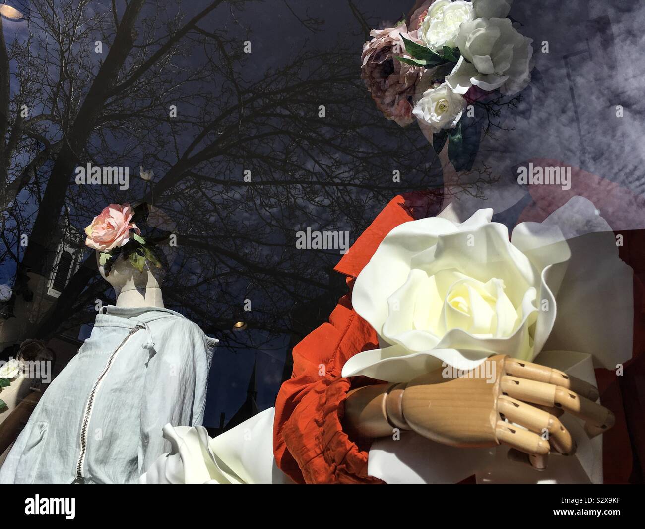 Window - Smartphone Captured Stock Image