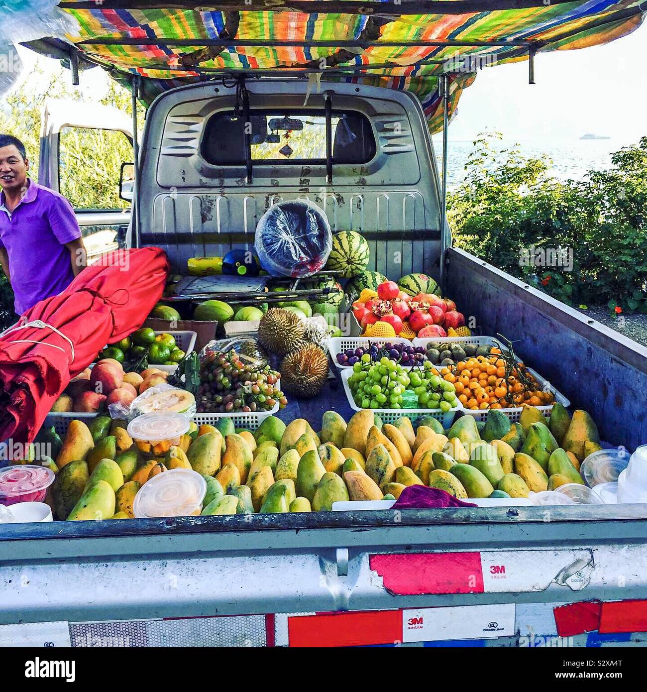 A Chinese Asian man sells tropical fruits from the back of his truck , mangos peppers, dates, melons Stock Photo