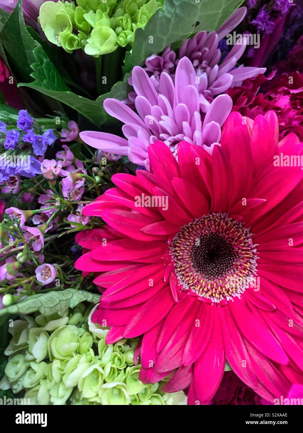 Beautiful summer bouquet of fresh green hydrangeas, pink daisies, and purple chrysanthemums. Stock Photo