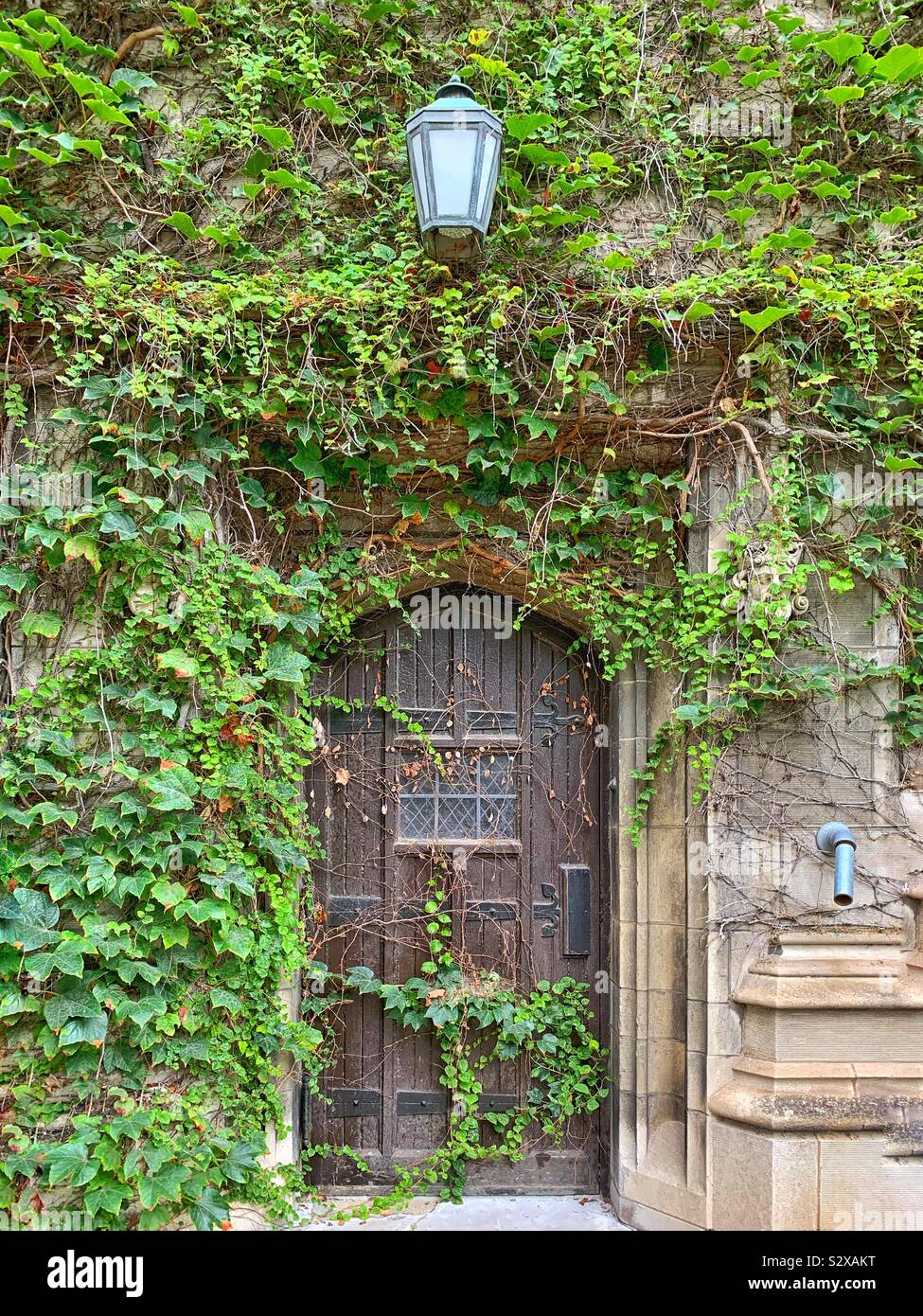 Fancy wooden doorway entrance to a gothic stone building. - Smartphone Captured Stock Image