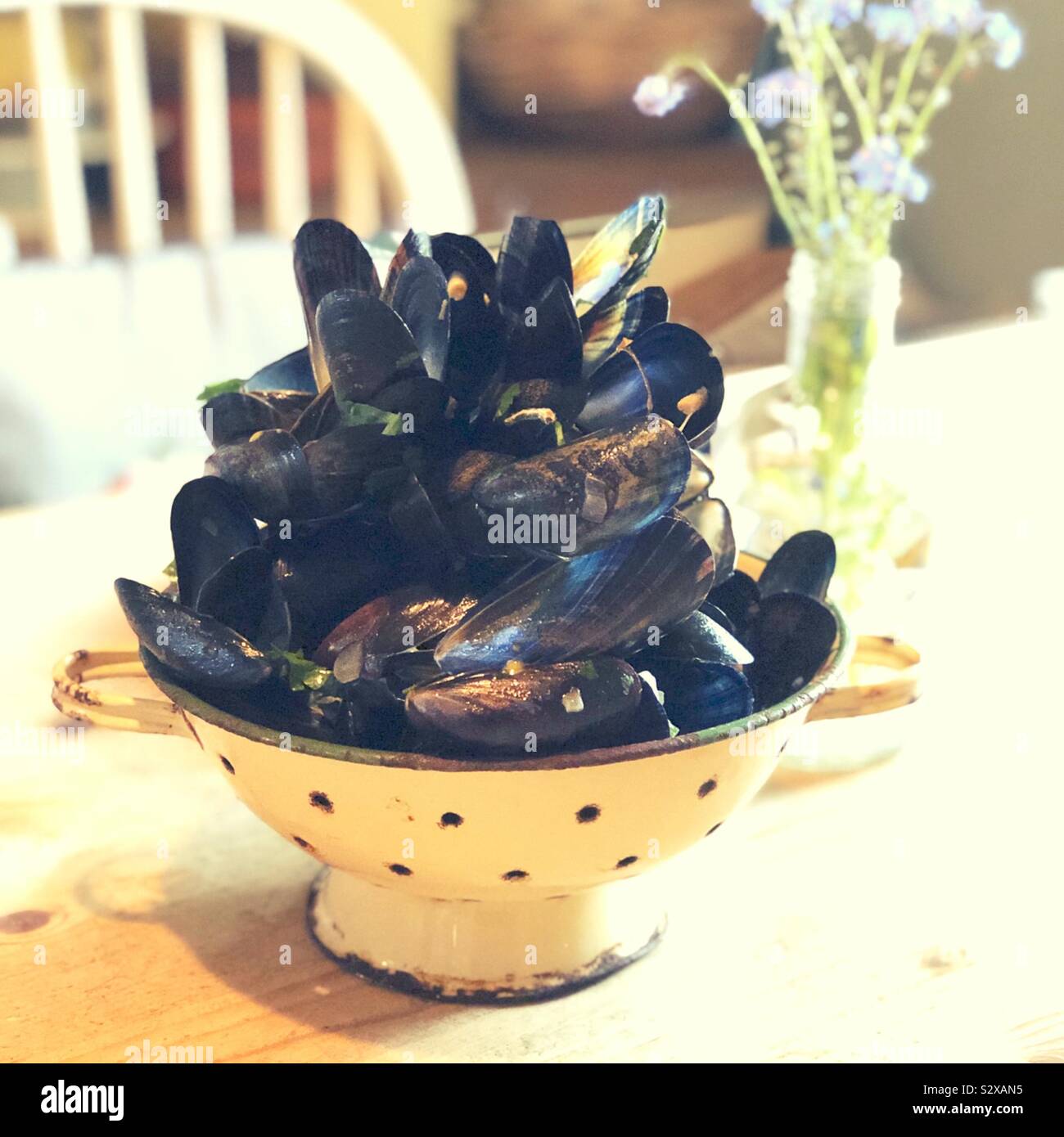 Mussels in a vintage colander - Smartphone Captured Stock Image