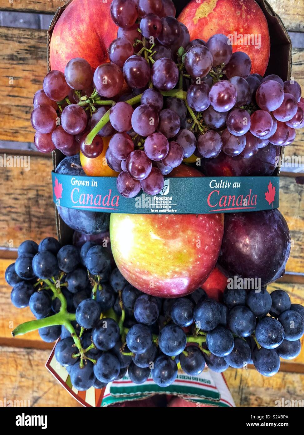 Ontario fruit hires stock photography and images Alamy