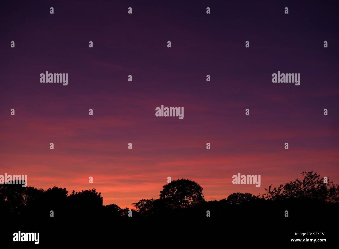 Sunset sky with tree silhouettes Stock Photo - Alamy