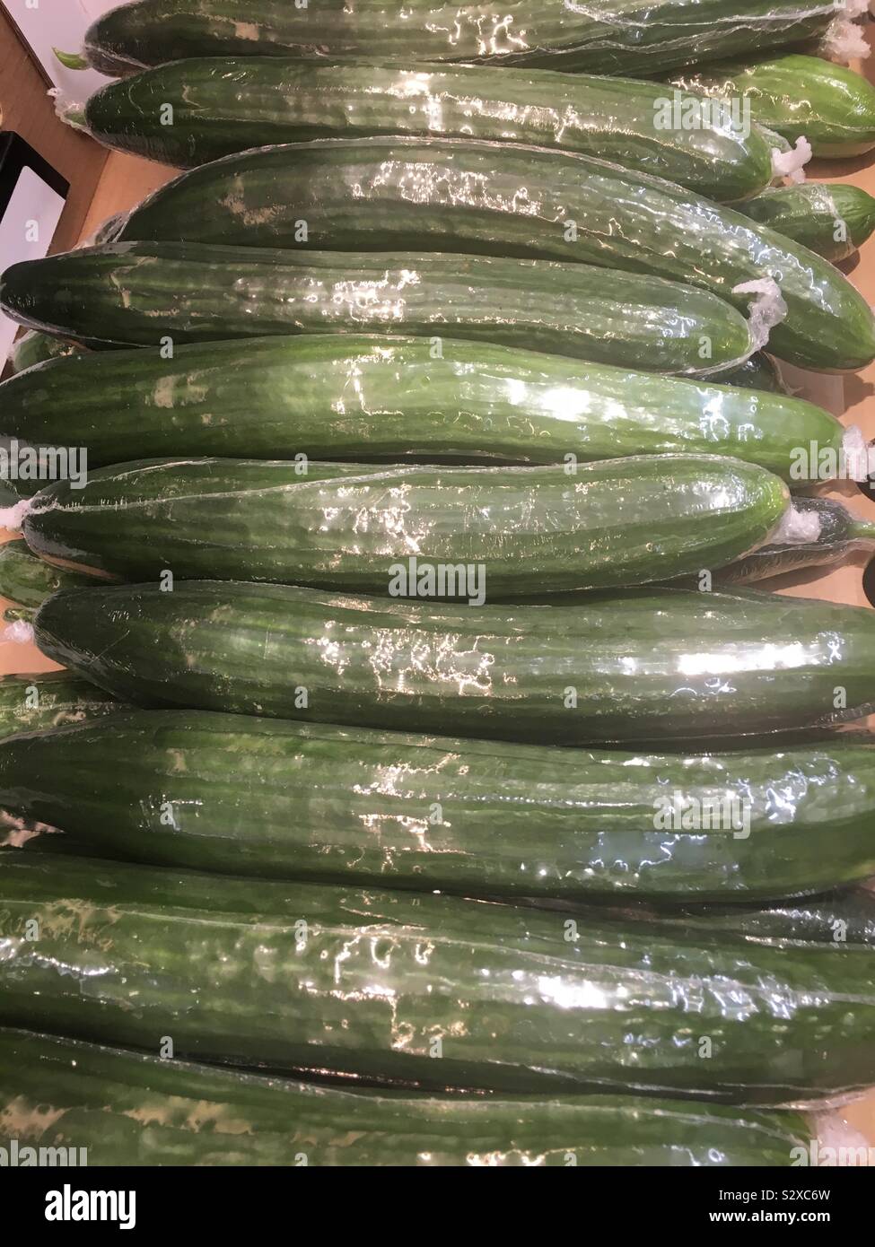 Cucumbers wrapped in plastic Stock Photo Alamy