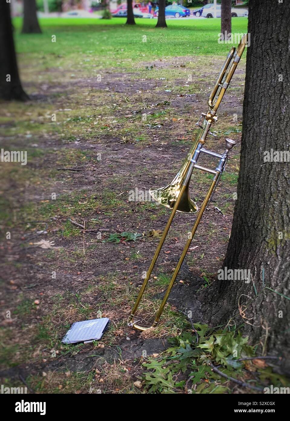 Brass instrument leaning against at tree in a park, music notes on the ground Stock Photo
