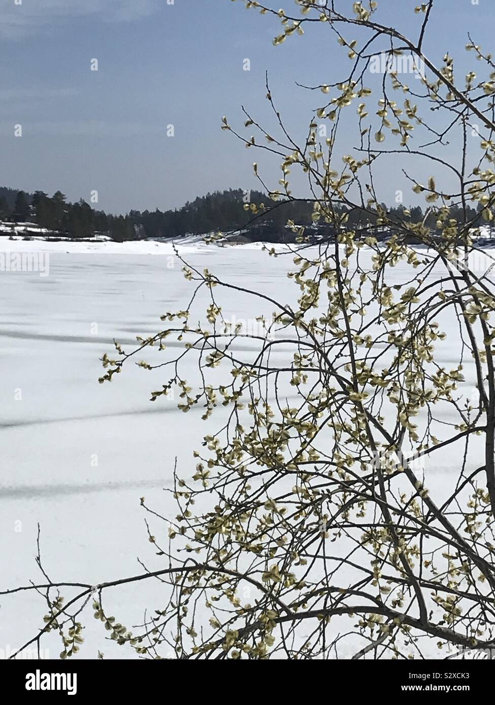 Spring snow sun hi-res stock photography and images - Alamy