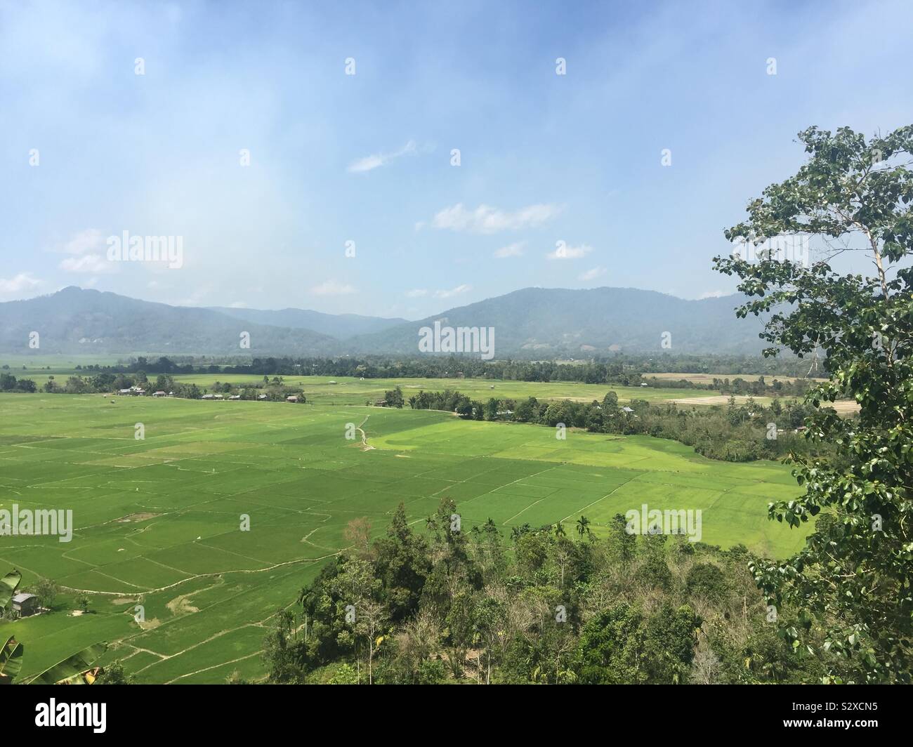 Paddy fields in the valley at the foot of the Mowewe mountains, East Kolaka, Southeast Sulawesi, Indonesia Stock Photo