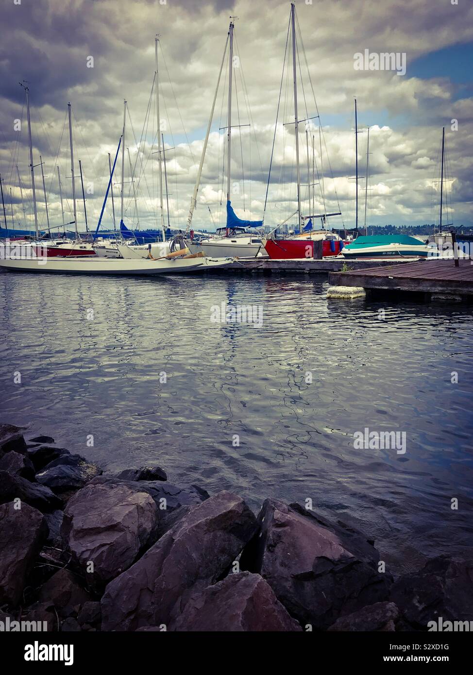 Rocky bank overlooks colorful sailboats at a Leschi, Seattle harbor on Lake Washington - Smartphone Captured Stock Image