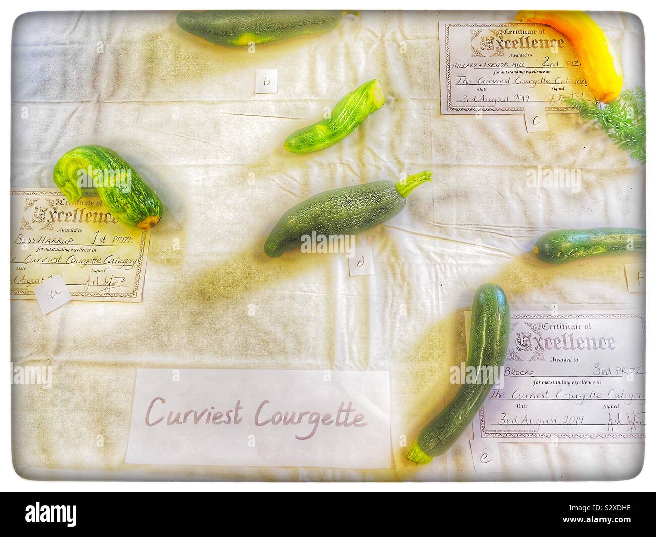 Curviest courgette competition - Smartphone Captured Stock Image