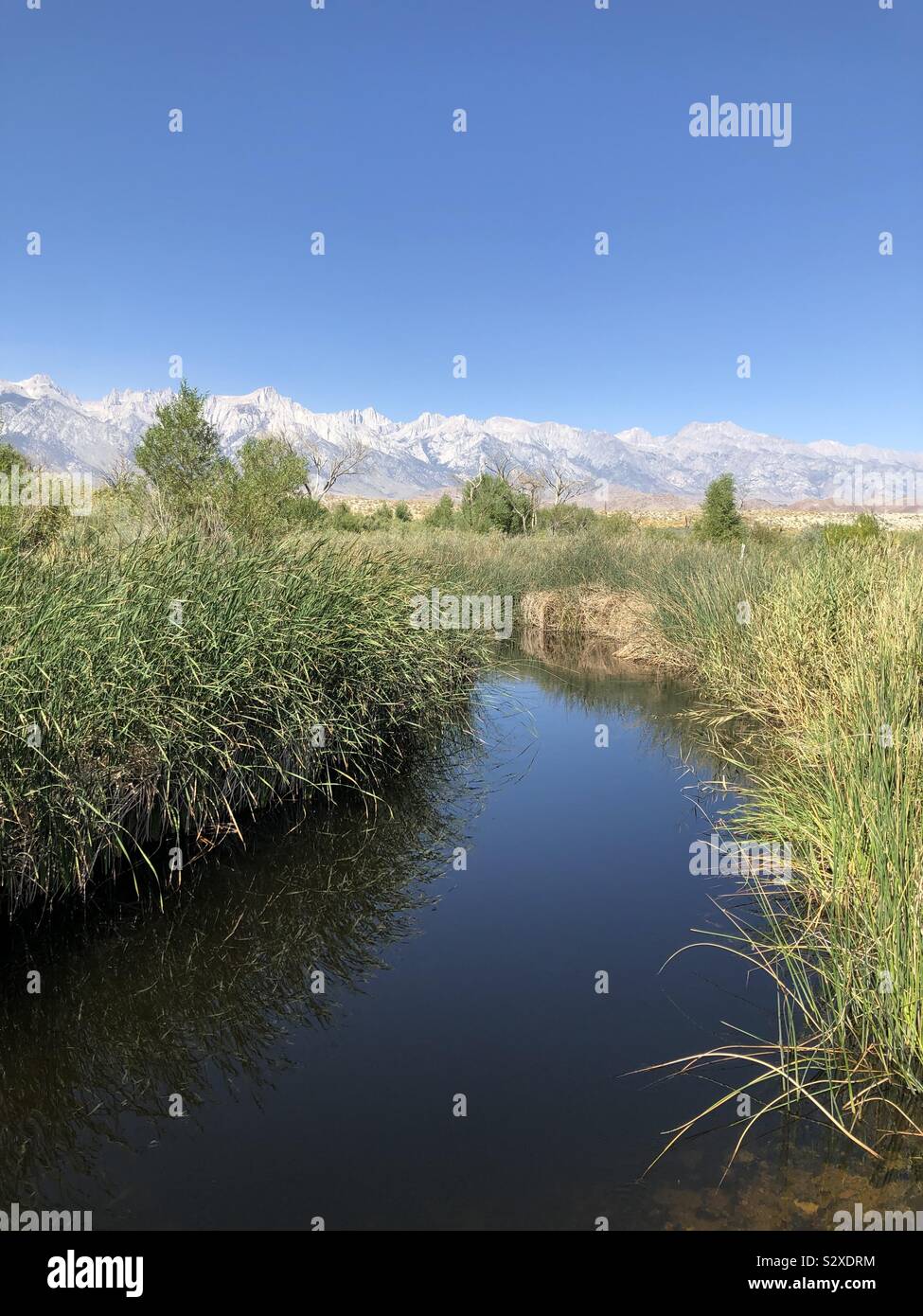 Lower Owens River with Eastern Sierra Nevada mountains in background near Lone Pine, California. Stock Photo