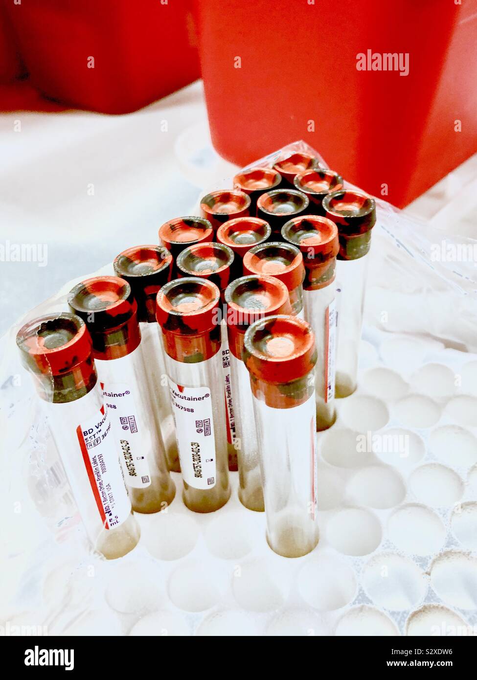 Blood collection test tubes Stock Photo