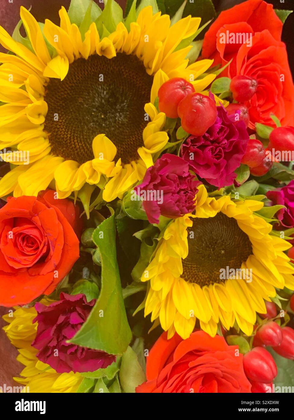 Sunflowers and roses Stock Photo Alamy