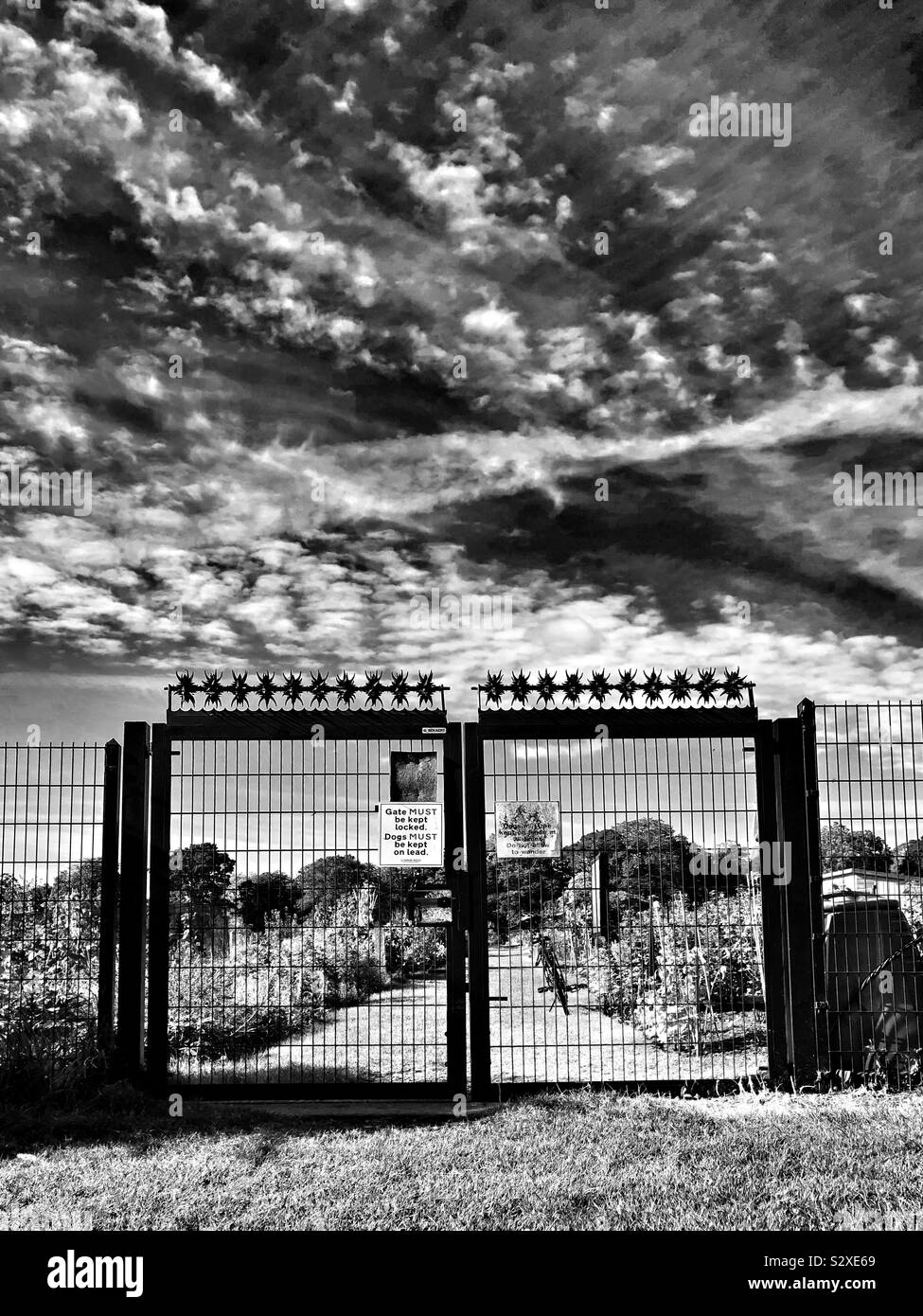 Security gates - Smartphone Captured Stock Image