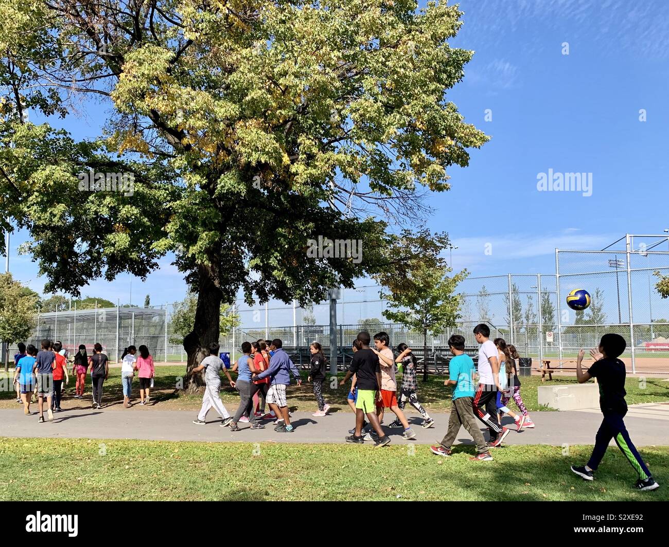 Multicultural schoolchildren Montreal - Smartphone Captured Stock Image