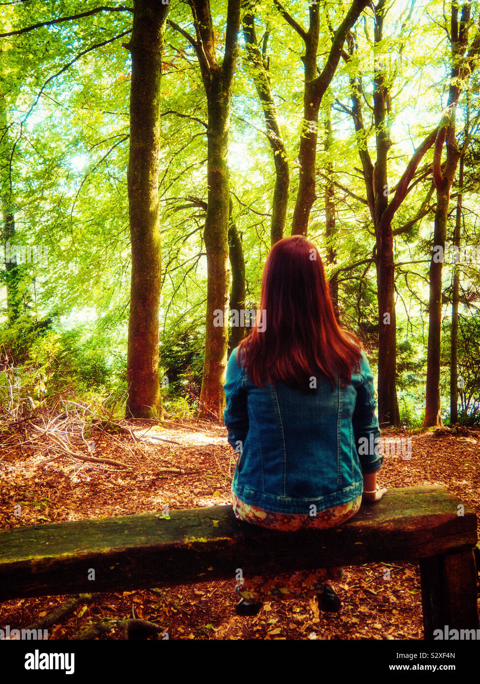 Woman sat alone on a wooden bench in the forest - Smartphone Captured Stock Image