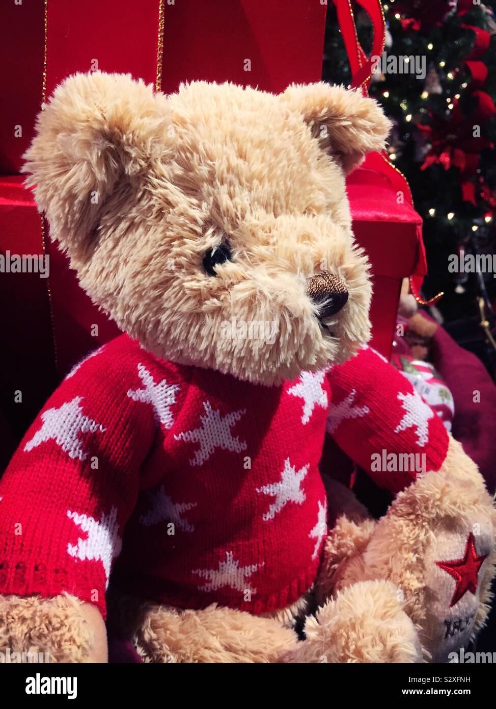 macy's christmas bear 2018