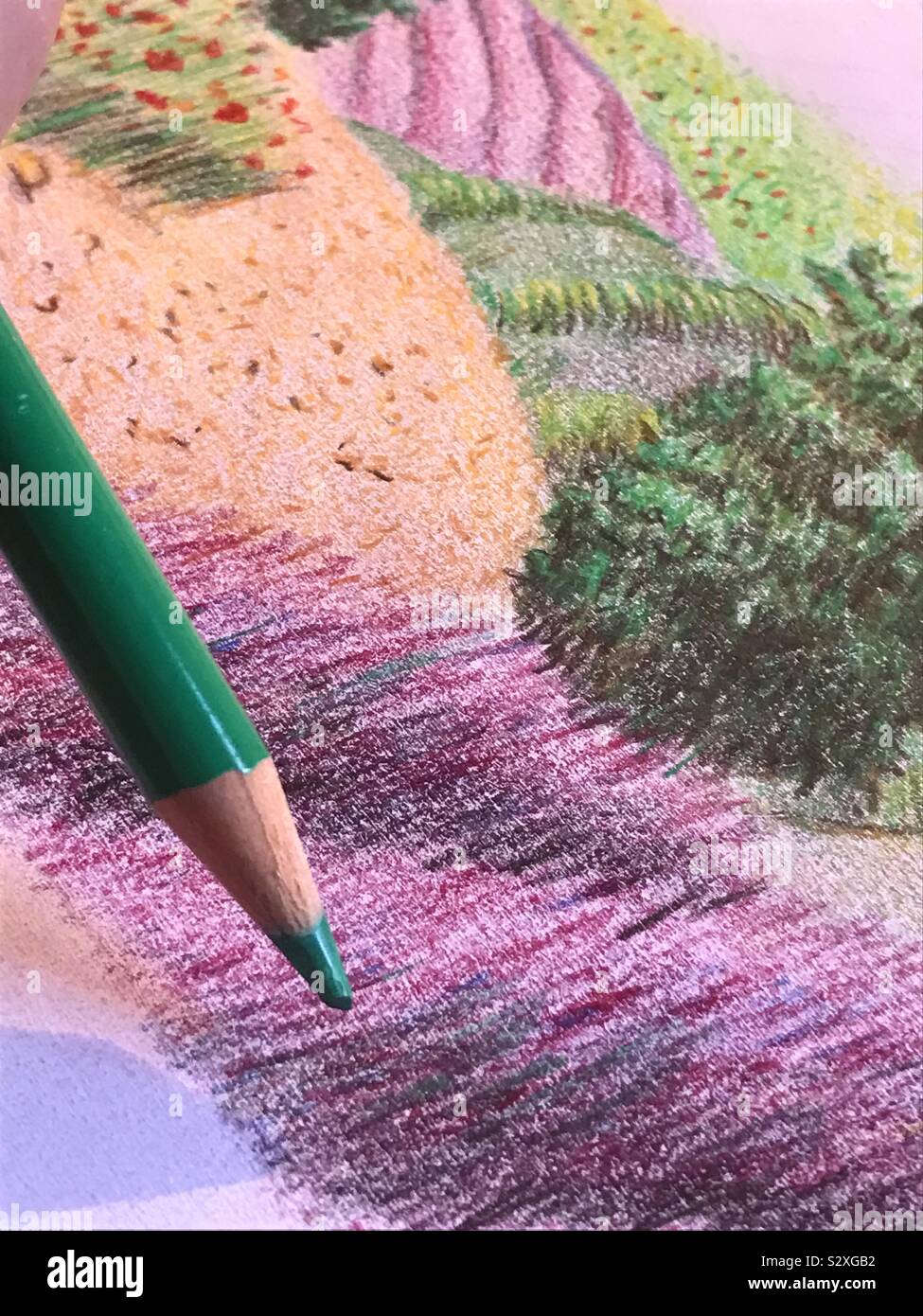 Green pencil colouring an illustration. Close view. - Smartphone Captured Stock Image