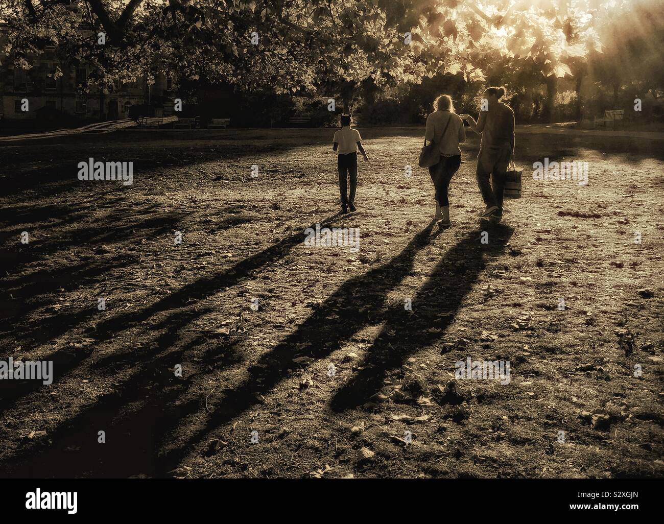 A family walking in the country at sunset. - Smartphone Captured Stock Image