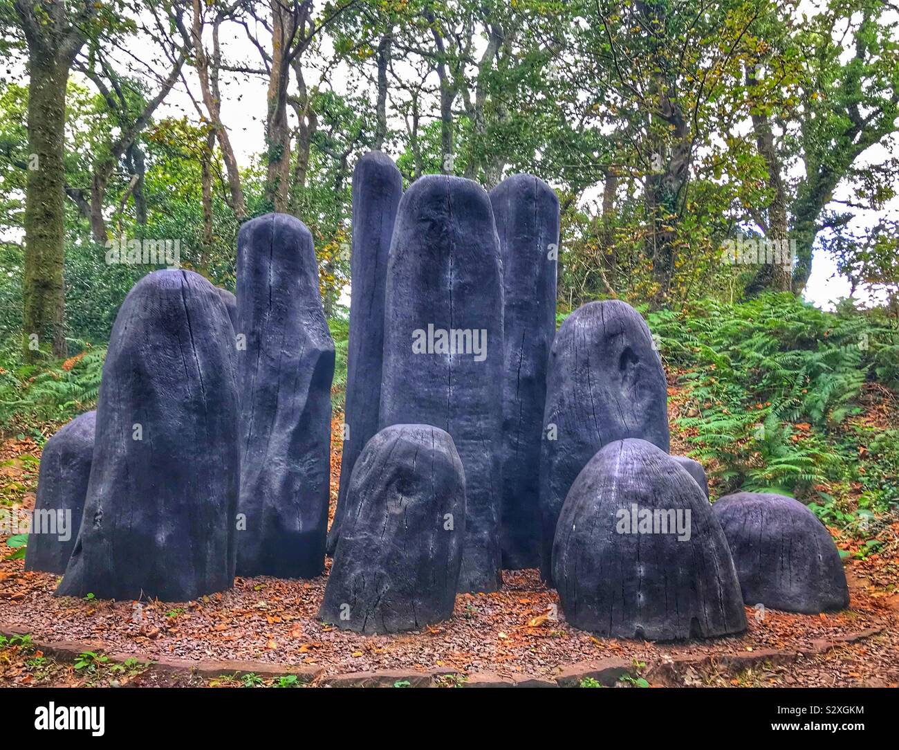 Charred Oak Sculpture by David Nash RA Called Black Mound At Tremenheere Sculpture Gardens - Cornwall UK - Smartphone Captured Stock Image