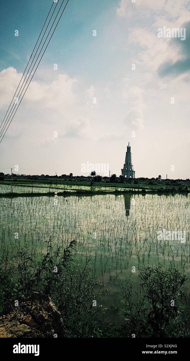 Spring Rice Monument Rice fields with a monument Stock Photo - Alamy