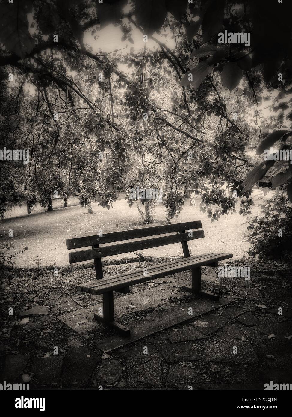 Empty bench in park hi-res stock photography and images - Alamy
