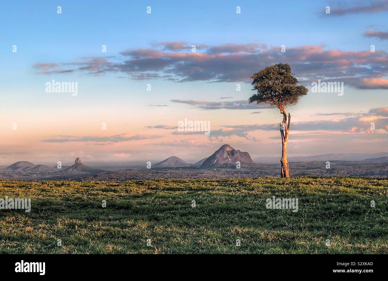 Glass House Mountains, Queensland One Tree Hill, Lone Tree on Hill Maleny Stock Photo